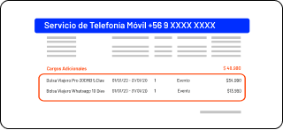 Esquema_boleta_mob.png